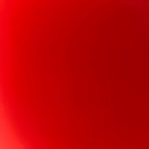 Meet your Posher, Ainara paola